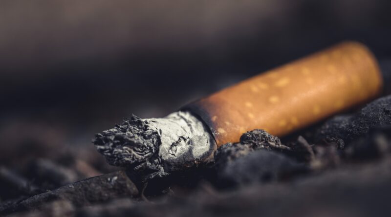 industria tabacalera