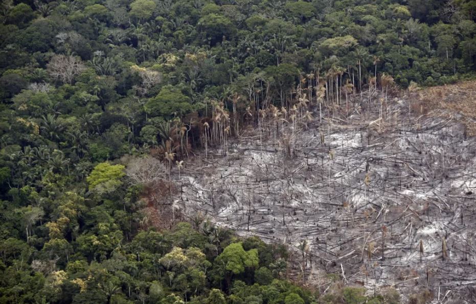 Deforestación