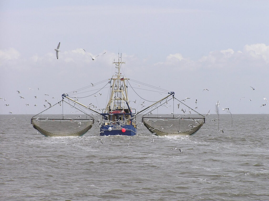 Mar argentino