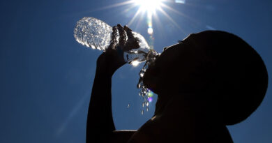 Europa enfrenta una intensa ola de calor con temperaturas récord