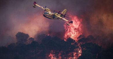 Alerta máxima en Burdeos por los incendios forestales en el sur de Francia